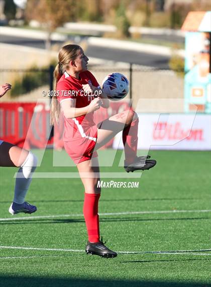 Thumbnail 1 in Bountiful vs. Springville (UHSAA 5A Semi Final) photogallery.