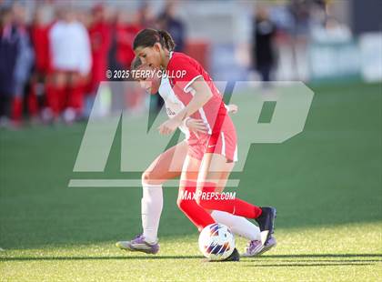 Thumbnail 1 in Bountiful vs. Springville (UHSAA 5A Semi Final) photogallery.