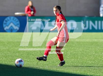Thumbnail 1 in Bountiful vs. Springville (UHSAA 5A Semi Final) photogallery.