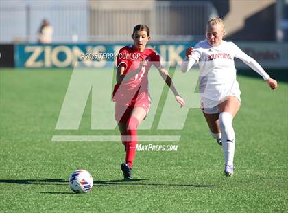 Thumbnail 1 in Bountiful vs. Springville (UHSAA 5A Semi Final) photogallery.