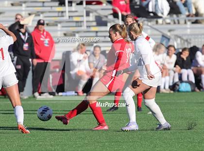 Thumbnail 1 in Bountiful vs. Springville (UHSAA 5A Semi Final) photogallery.