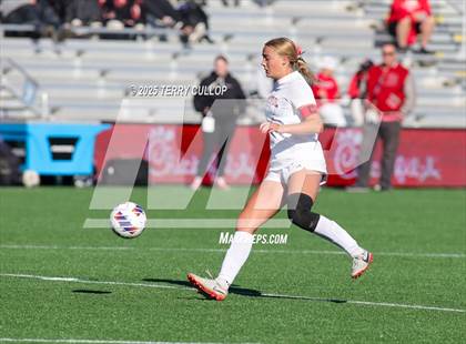 Thumbnail 3 in Bountiful vs. Springville (UHSAA 5A Semi Final) photogallery.