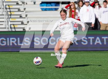 Thumbnail 3 in Bountiful vs. Springville (UHSAA 5A Semi Final) photogallery.