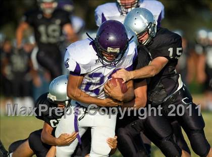 Thumbnail 3 in Warren @ Clark photogallery.