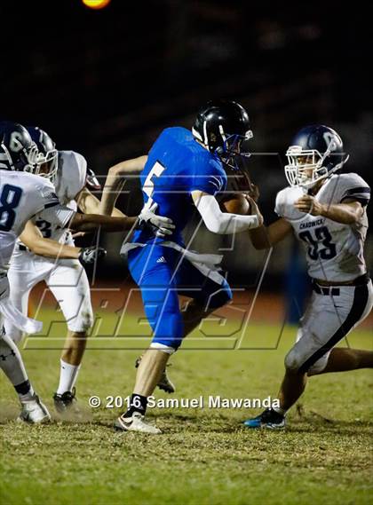 Thumbnail 2 in Milken vs Chadwick photogallery.