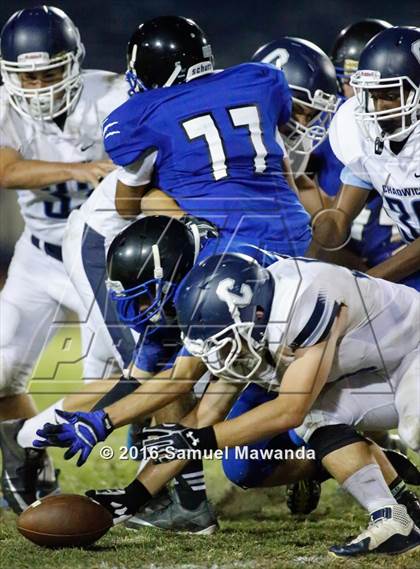 Thumbnail 1 in Milken vs Chadwick photogallery.