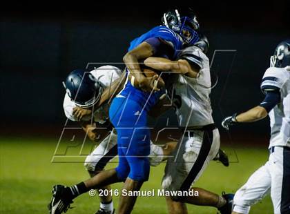 Thumbnail 1 in Milken vs Chadwick photogallery.