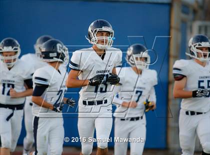 Thumbnail 1 in Milken vs Chadwick photogallery.
