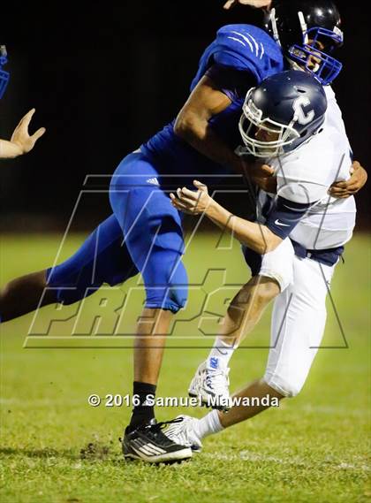 Thumbnail 2 in Milken vs Chadwick photogallery.