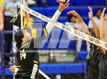 Thumbnail 3 in Fossil Ridge @ Keller photogallery.