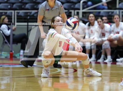 Thumbnail 3 in The Woodlands vs. Dripping Springs (UIL 6A Semifinal) photogallery.