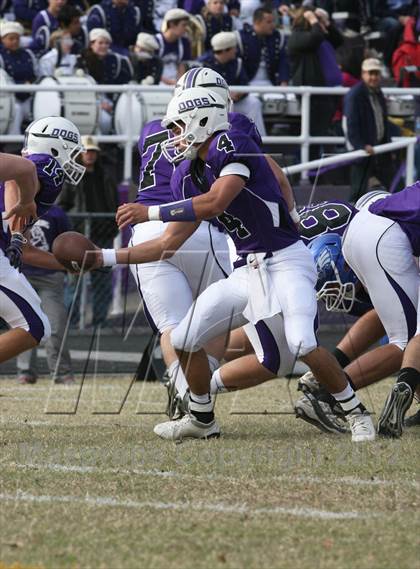 Thumbnail 1 in Columbia @ Harrisburg (IHSA Playoff) photogallery.