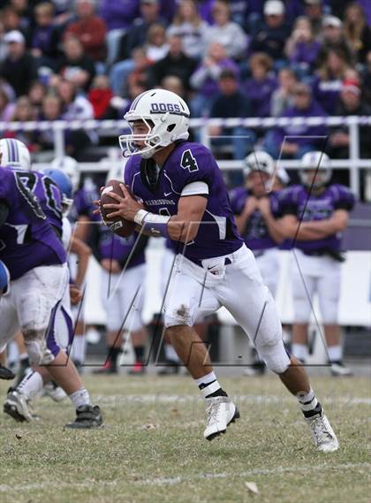 Thumbnail 2 in Columbia @ Harrisburg (IHSA Playoff) photogallery.