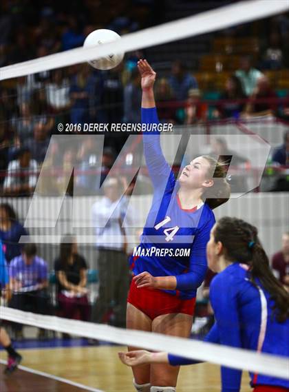 Thumbnail 1 in Cherry Creek vs Fairview (CHSAA 5A Playoff) photogallery.