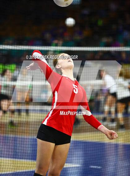 Thumbnail 1 in Cherry Creek vs Fairview (CHSAA 5A Playoff) photogallery.