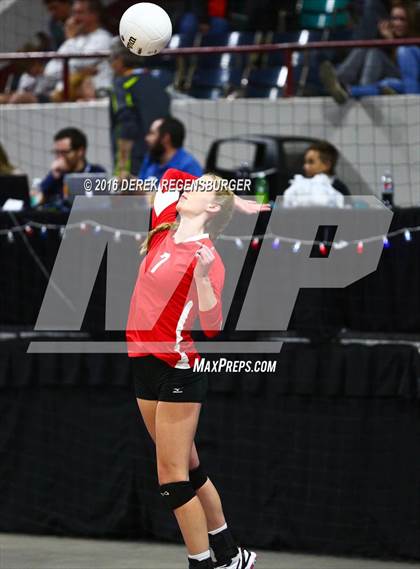 Thumbnail 1 in Cherry Creek vs Fairview (CHSAA 5A Playoff) photogallery.