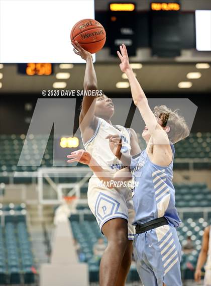 Thumbnail 1 in Kingwood @ Paetow photogallery.