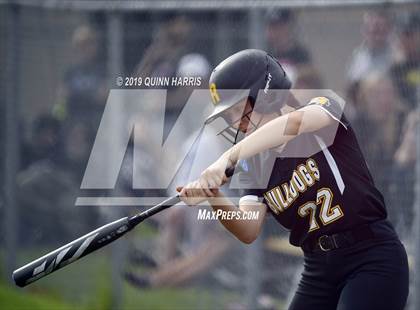 Thumbnail 3 in Shepard v Richards (IHSA 4A Regional Final) photogallery.