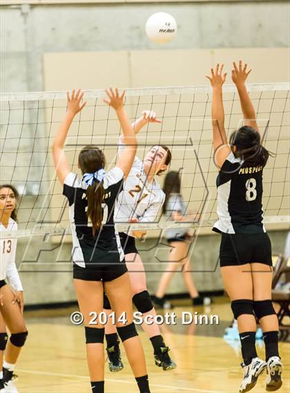 Thumbnail 2 in Prospect @ Gunderson photogallery.