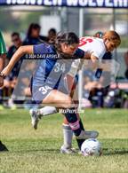 Photo from the gallery "Granger @ Hunter"