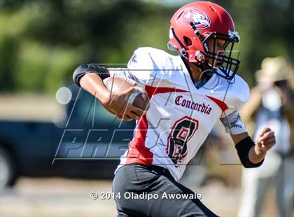Thumbnail 3 in Concordia Academy @ Phoenix Charter photogallery.