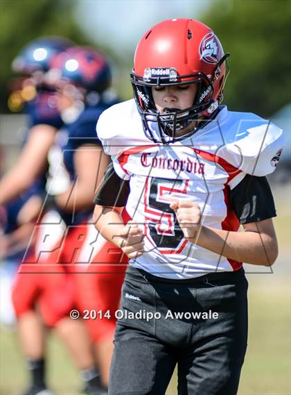 Thumbnail 3 in Concordia Academy @ Phoenix Charter photogallery.