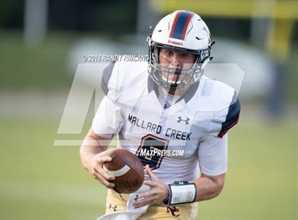 Thumbnail 1 in Mallard Creek @ David W. Butler photogallery.
