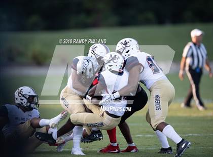 Thumbnail 3 in Mallard Creek @ David W. Butler photogallery.