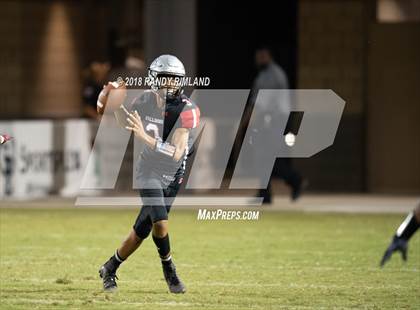 Thumbnail 1 in Mallard Creek @ David W. Butler photogallery.