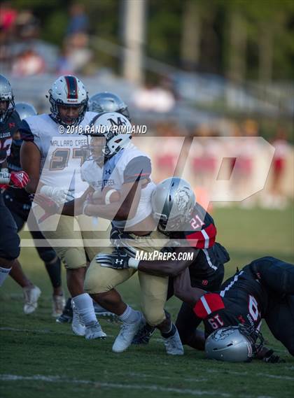 Thumbnail 1 in Mallard Creek @ David W. Butler photogallery.
