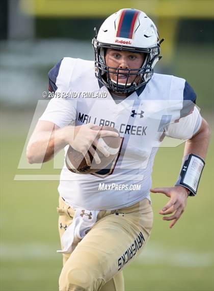 Thumbnail 3 in Mallard Creek @ David W. Butler photogallery.