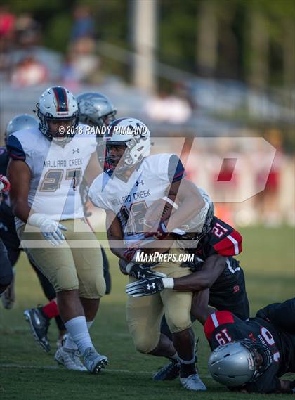 Thumbnail 3 in Mallard Creek @ David W. Butler photogallery.