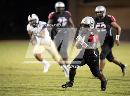 Thumbnail 2 in Mallard Creek @ David W. Butler photogallery.