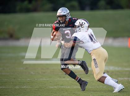 Thumbnail 2 in Mallard Creek @ David W. Butler photogallery.