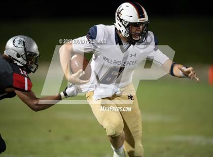 Thumbnail 2 in Mallard Creek @ David W. Butler photogallery.