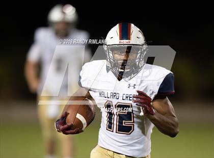 Thumbnail 3 in Mallard Creek @ David W. Butler photogallery.
