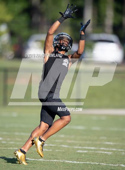 Thumbnail 1 in Mallard Creek @ David W. Butler photogallery.