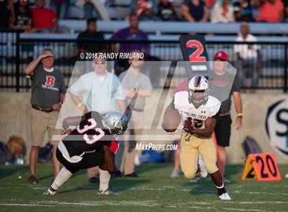 Thumbnail 3 in Mallard Creek @ David W. Butler photogallery.