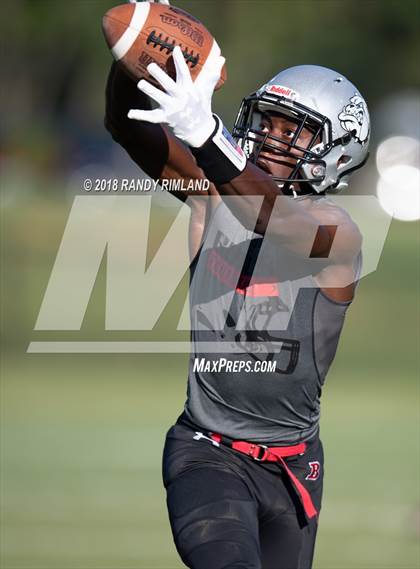 Thumbnail 1 in Mallard Creek @ David W. Butler photogallery.