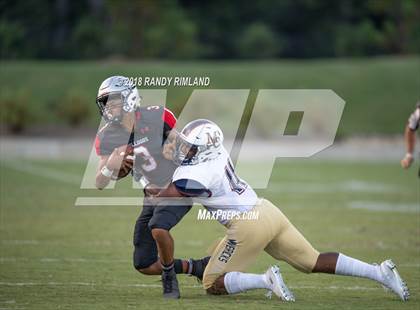 Thumbnail 3 in Mallard Creek @ David W. Butler photogallery.