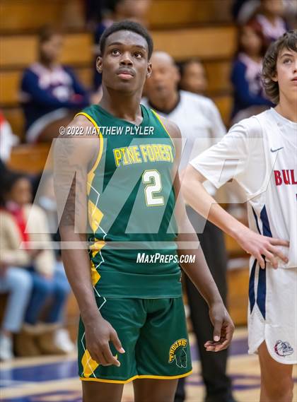 Thumbnail 1 in Pine Forest @ Terry Sanford photogallery.