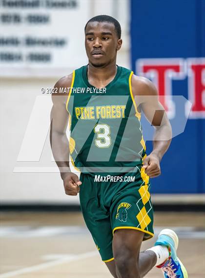Thumbnail 1 in Pine Forest @ Terry Sanford photogallery.