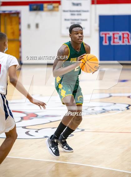 Thumbnail 2 in Pine Forest @ Terry Sanford photogallery.