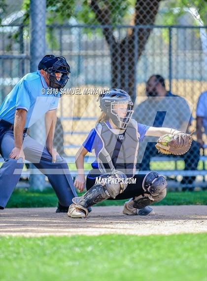 Thumbnail 2 in El Camino Real vs Birmingham photogallery.