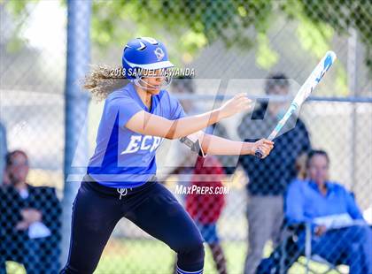 Thumbnail 1 in El Camino Real vs Birmingham photogallery.