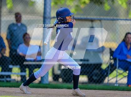 Thumbnail 2 in El Camino Real vs Birmingham photogallery.