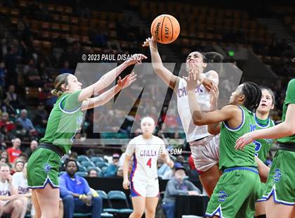 Thumbnail 2 in Cherry Creek vs. Doherty (CHSAA 6A Great 8) photogallery.