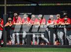 Photo from the gallery "Mater Dei @ Servite"