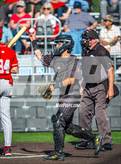 Photo from the gallery "Mater Dei @ Servite"