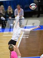 Photo from the gallery "Battle Mountain vs. Palmer Ridge (CHSAA 4A 2nd Round)"
